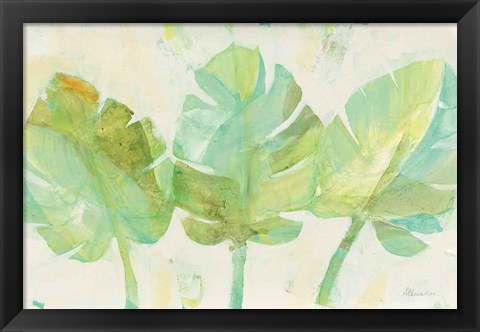 Framed Tropical Trio Print