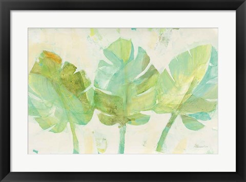 Framed Tropical Trio Print