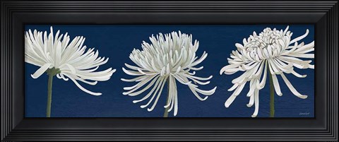 Framed Morning Chrysanthemums V Dark Blue Print