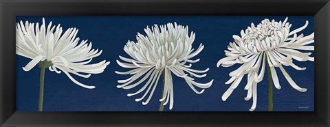 Framed Morning Chrysanthemums V Dark Blue Print