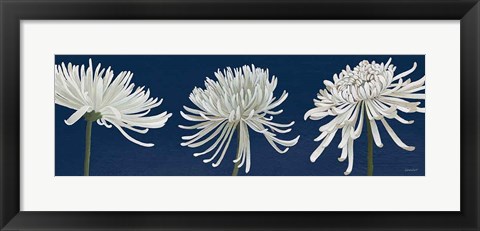 Framed Morning Chrysanthemums V Dark Blue Print