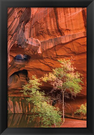 Framed Neon Canyon III Print