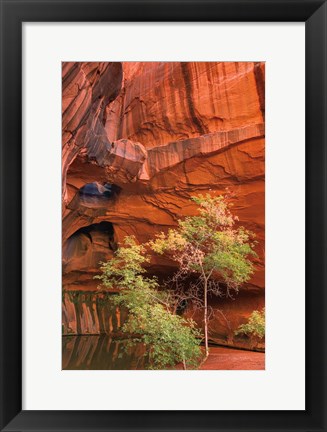 Framed Neon Canyon III Print