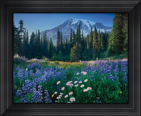 Framed Mount Rainier Print