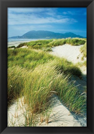 Framed Oregon Dunes Grass Print