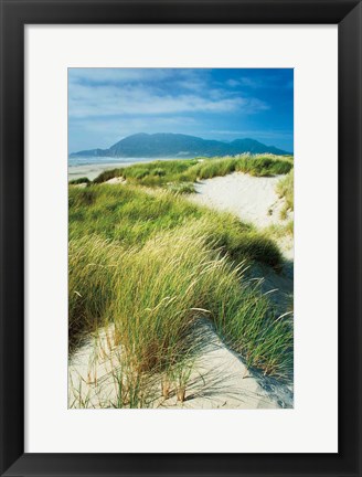 Framed Oregon Dunes Grass Print