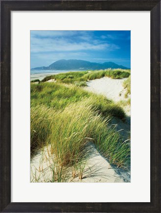 Framed Oregon Dunes Grass Print
