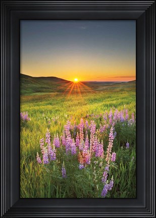Framed Prairie Sunrise Print
