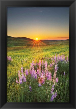 Framed Prairie Sunrise Print