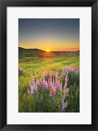 Framed Prairie Sunrise Print