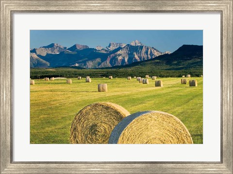 Framed Waterton Hay Bales Print