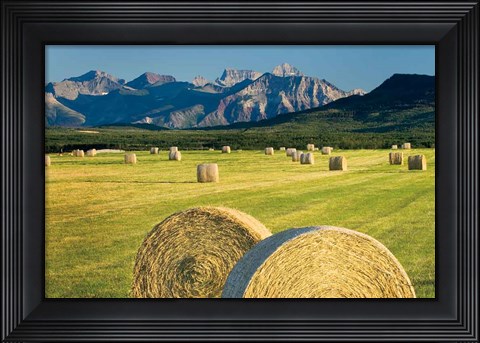 Framed Waterton Hay Bales Print