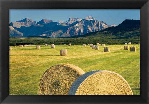 Framed Waterton Hay Bales Print