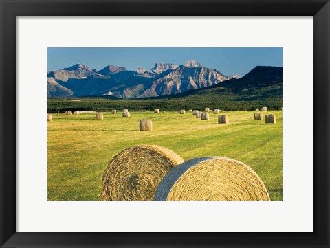 Framed Waterton Hay Bales Print