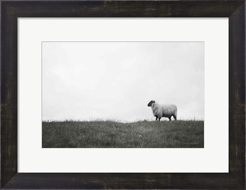 Framed Islay Sheep II Print