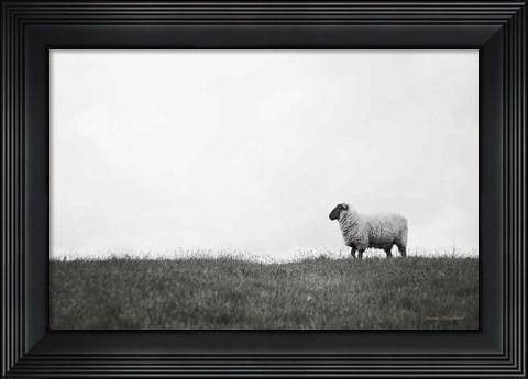 Framed Islay Sheep II Print