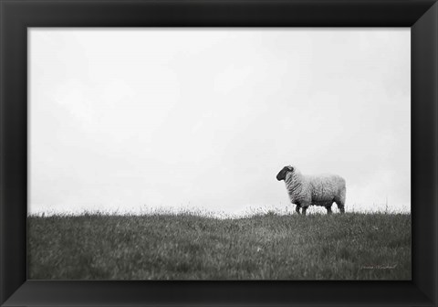 Framed Islay Sheep II Print