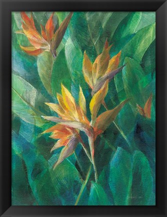 Framed Bird of Paradise II Print