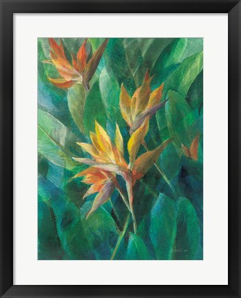 Framed Bird of Paradise II Print