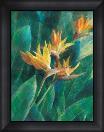 Framed Bird of Paradise I Print
