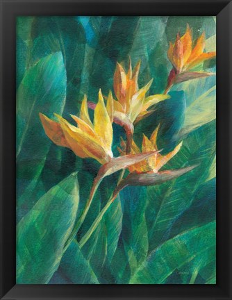 Framed Bird of Paradise I Print