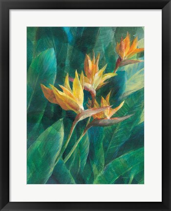 Framed Bird of Paradise I Print