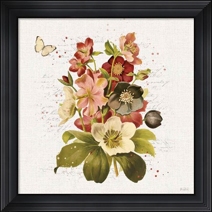 Framed Vintage Petals VI Print