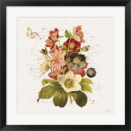 Framed Vintage Petals VI Print