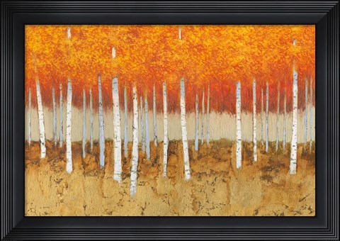Framed Autumn Birches Print