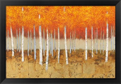 Framed Autumn Birches Print