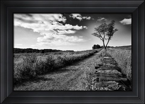 Framed Stone Wall Print