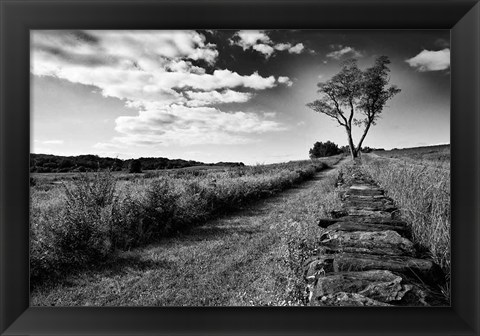 Framed Stone Wall Print