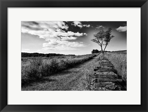 Framed Stone Wall Print