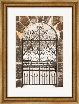 Framed Winterthur Gate Print