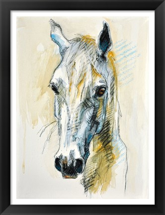 Framed Horse Head Print