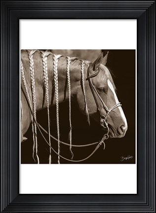 Framed Braided Print