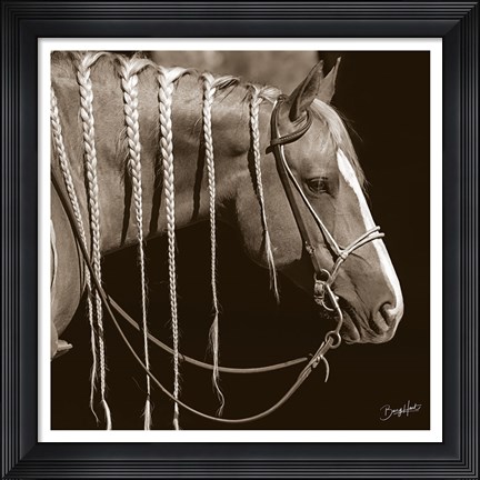 Framed Braided Print