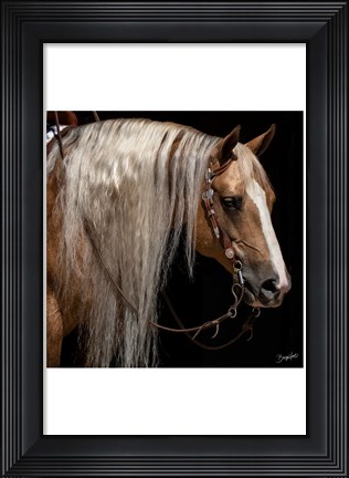 Framed Platinum in Bridle Print