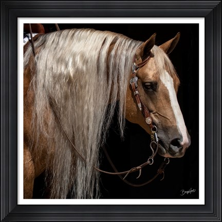 Framed Platinum in Bridle Print