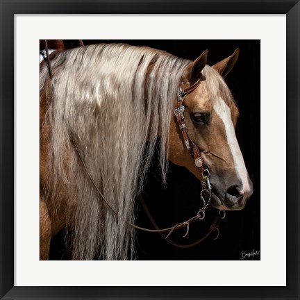 Framed Platinum in Bridle Print