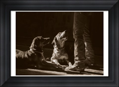 Framed Catahoulas Print