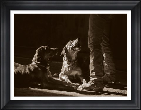 Framed Catahoulas Print