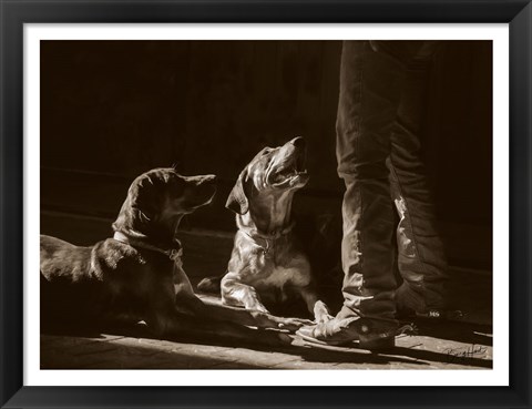 Framed Catahoulas Print