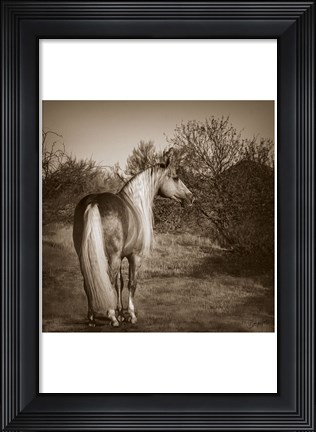 Framed Just Sayin Print