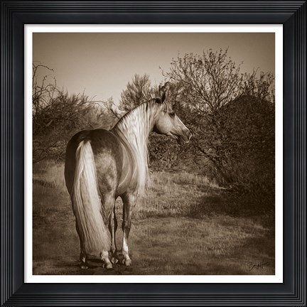 Framed Just Sayin Print