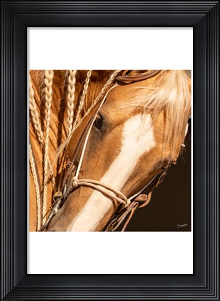 Framed Palomino n Vogue Print