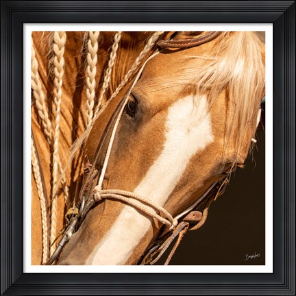 Framed Palomino n Vogue Print
