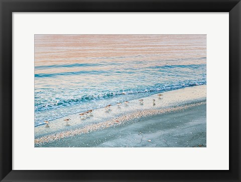 Framed Early Birds Print