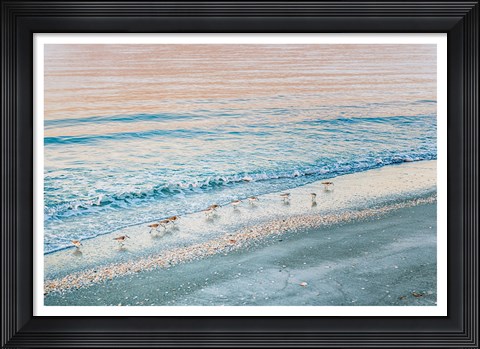 Framed Early Birds Print