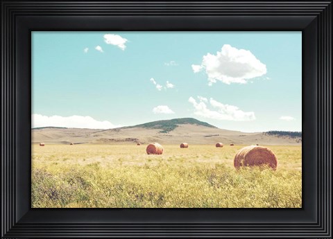 Framed Day in the Fields Print